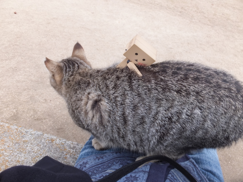 f:id:ornith:20131208085138j:plain