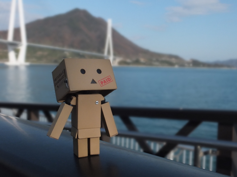 f:id:ornith:20131208143345j:plain