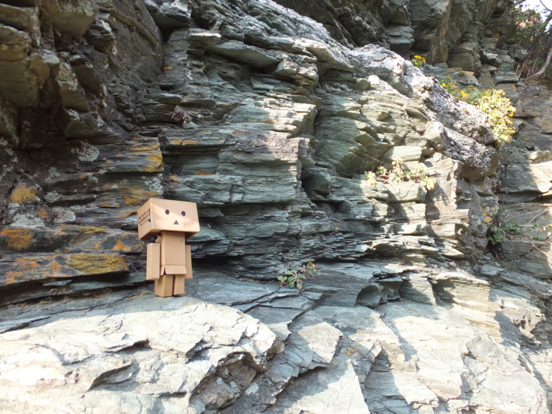 f:id:ornith:20131210142222j:plain