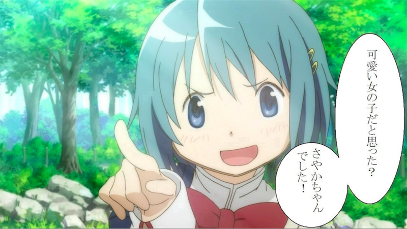 f:id:ornith:20140508140713p:plain