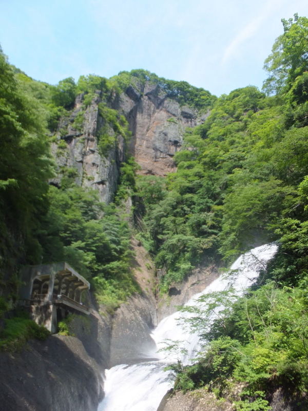 f:id:ornith:20140725190133j:plain