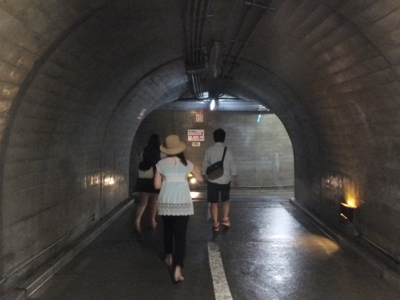 f:id:ornith:20140725190136j:plain