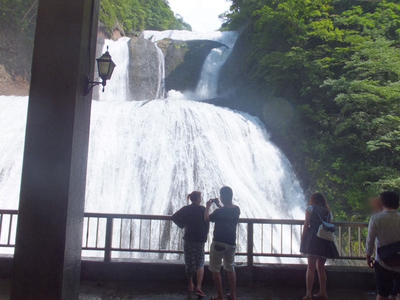 f:id:ornith:20140725190137j:plain