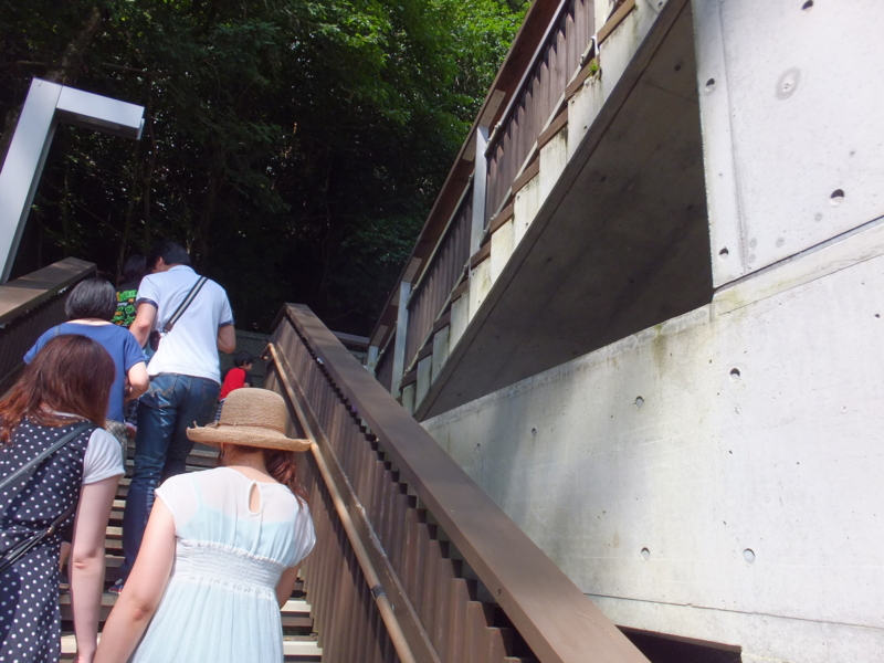 f:id:ornith:20140725190144j:plain