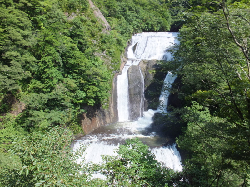 f:id:ornith:20140725190145j:plain