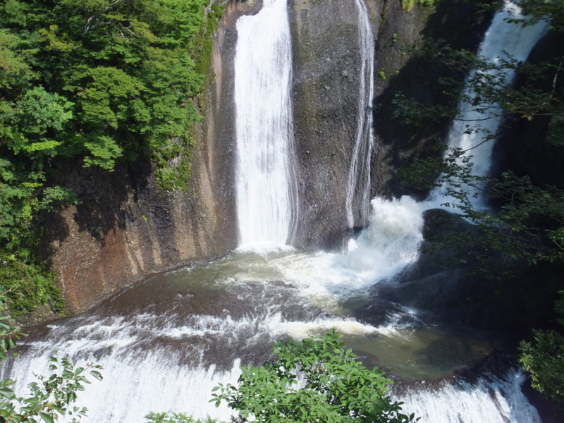 f:id:ornith:20140725190146j:plain