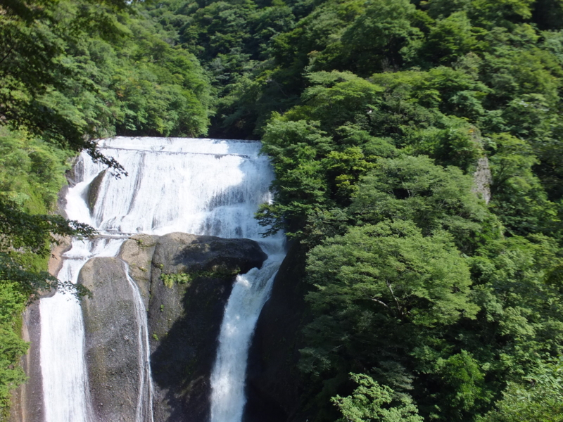 f:id:ornith:20140725190148j:plain