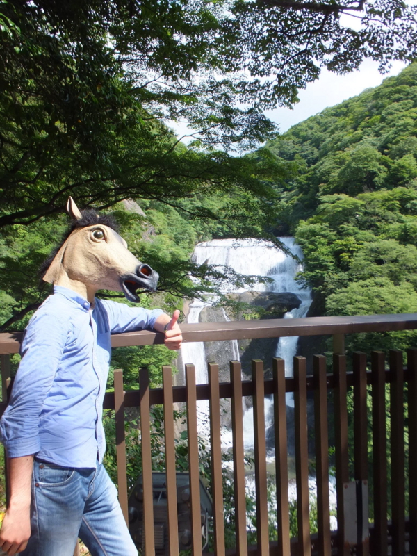 f:id:ornith:20140725190149j:plain