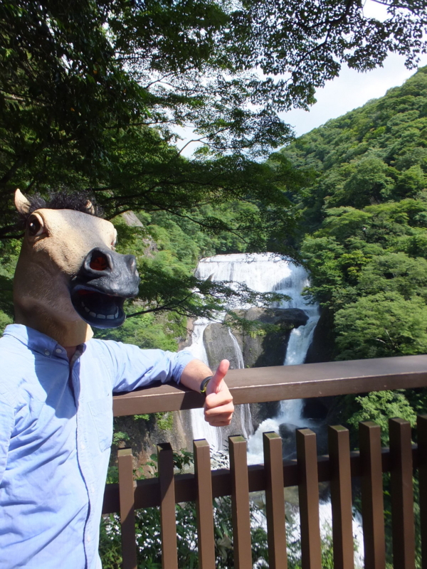 f:id:ornith:20140725190150j:plain