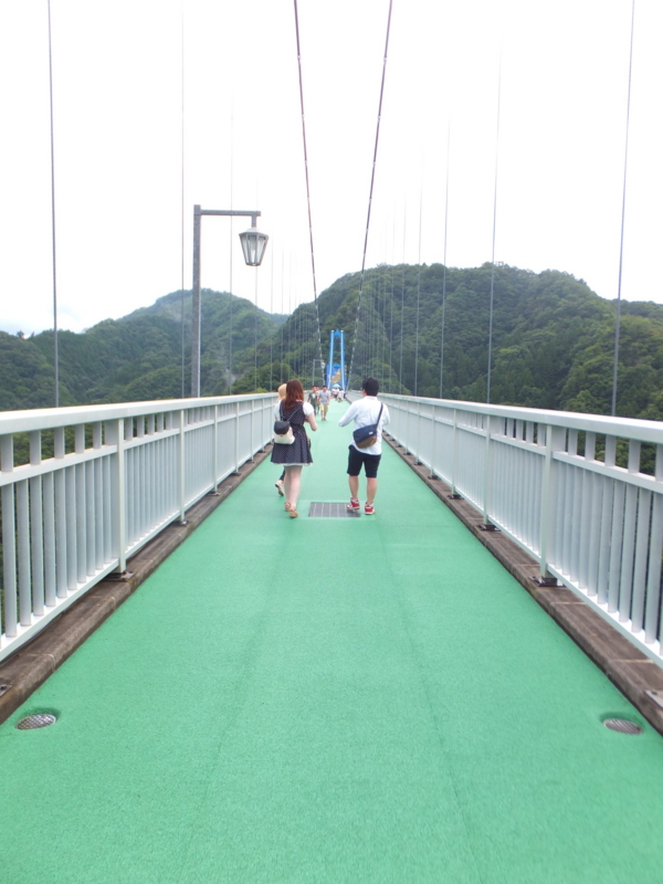 f:id:ornith:20140725190153j:plain