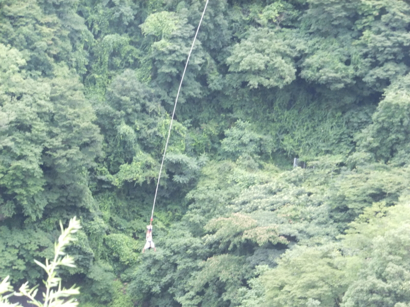 f:id:ornith:20140725190202j:plain