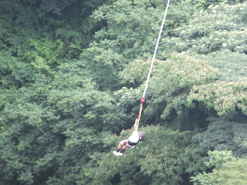 f:id:ornith:20140725190203j:plain