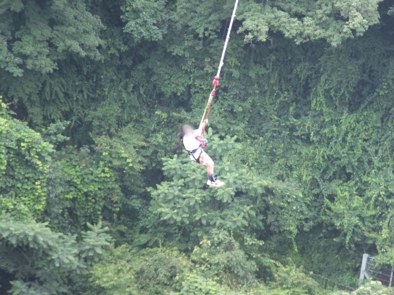 f:id:ornith:20140725190204j:plain