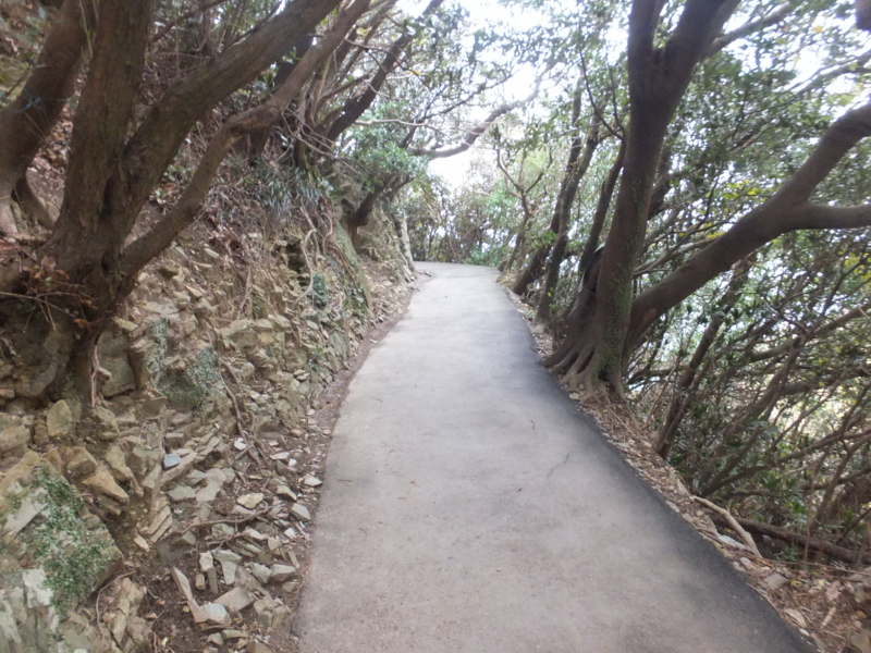 f:id:ornith:20140803164922j:plain