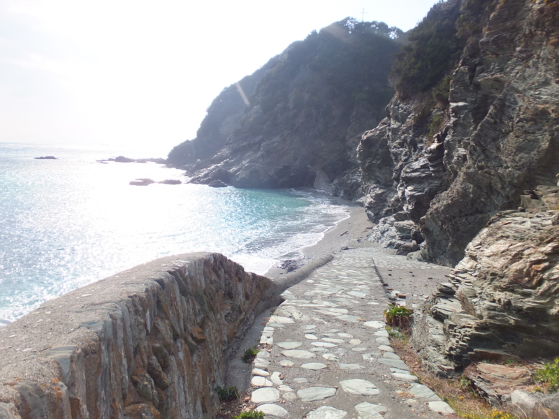 f:id:ornith:20140803164925j:plain