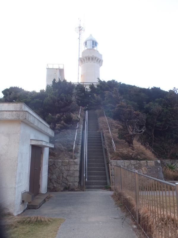 f:id:ornith:20140803164934j:plain