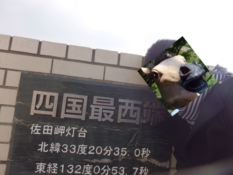 f:id:ornith:20140803164937j:plain