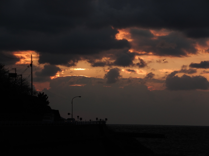 f:id:ornith:20140803164952j:plain