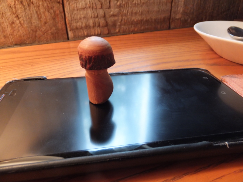 f:id:ornith:20140808205526j:plain