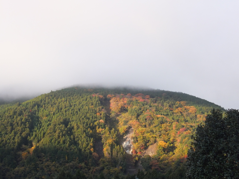 f:id:ornith:20141008194301j:plain f:id:ornith:20141008194301j:plain