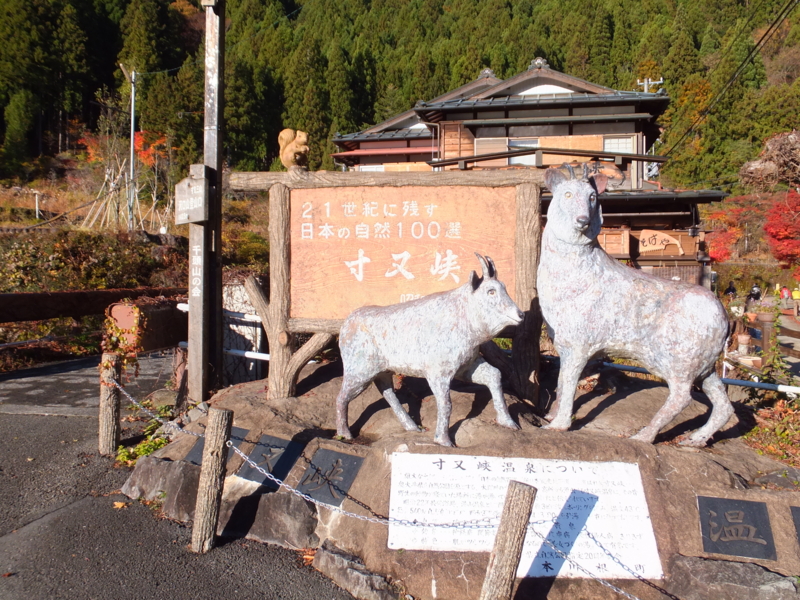 f:id:ornith:20141008194303j:plain f:id:ornith:20141008194303j:plain