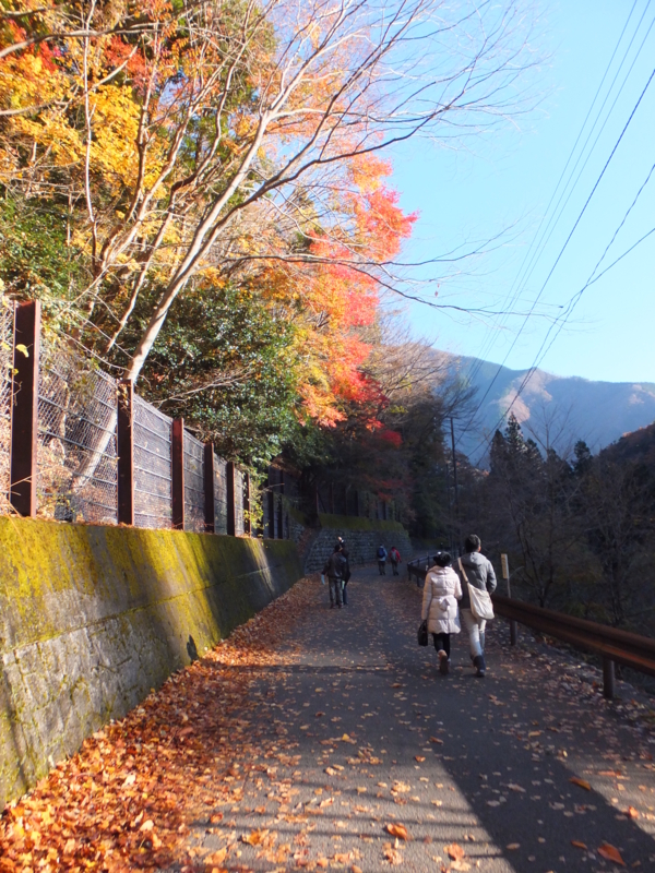 f:id:ornith:20141008194306j:plain f:id:ornith:20141008194306j:plain
