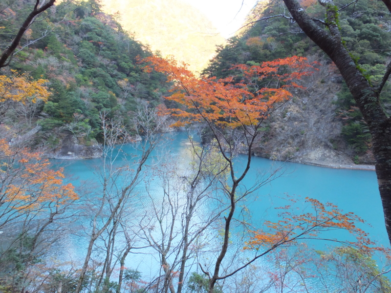 f:id:ornith:20141008194310j:plain f:id:ornith:20141008194310j:plain