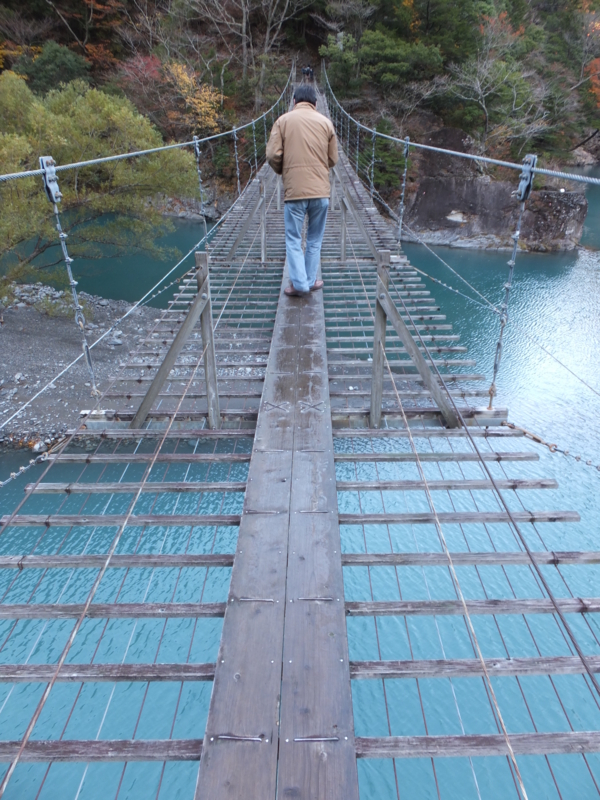 f:id:ornith:20141008194317j:plain f:id:ornith:20141008194317j:plain