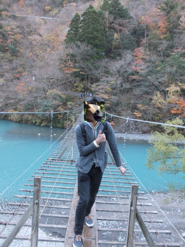 f:id:ornith:20141008194318j:plain f:id:ornith:20141008194318j:plain