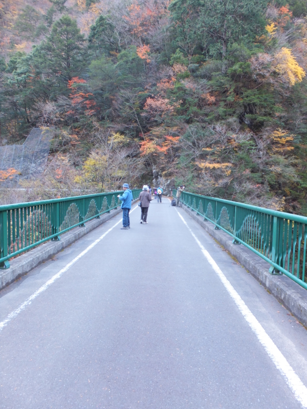 f:id:ornith:20141008194323j:plain f:id:ornith:20141008194323j:plain