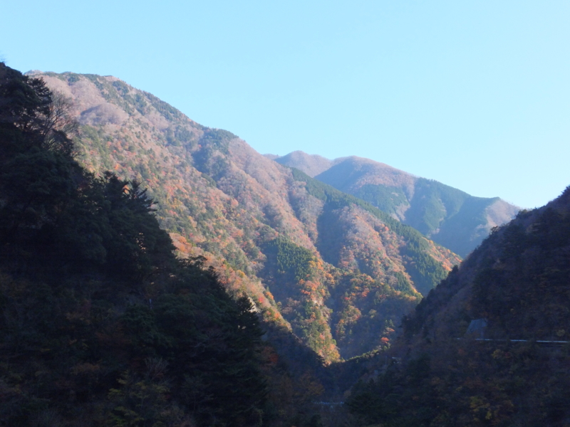 f:id:ornith:20141008194324j:plain f:id:ornith:20141008194324j:plain
