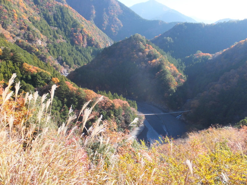 f:id:ornith:20141008194328j:plain f:id:ornith:20141008194328j:plain