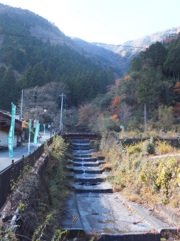f:id:ornith:20141008194336j:plain f:id:ornith:20141008194336j:plain