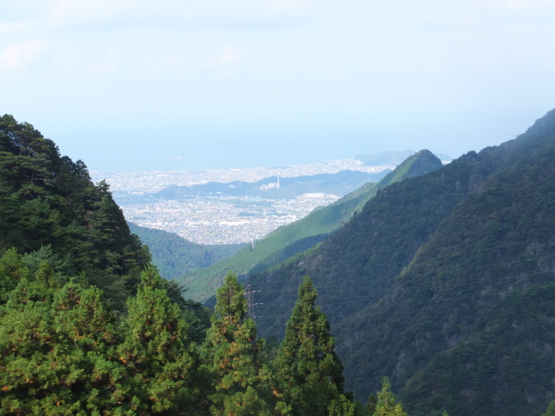 f:id:ornith:20141017152503j:plain f:id:ornith:20141017152503j:plain