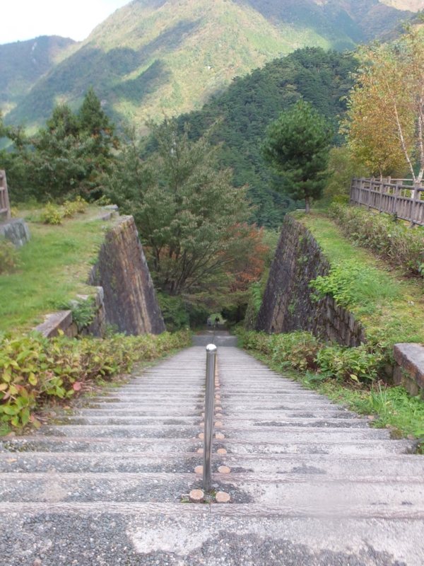 f:id:ornith:20141017152504j:plain f:id:ornith:20141017152504j:plain