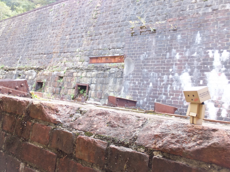 f:id:ornith:20141017152510j:plain f:id:ornith:20141017152510j:plain