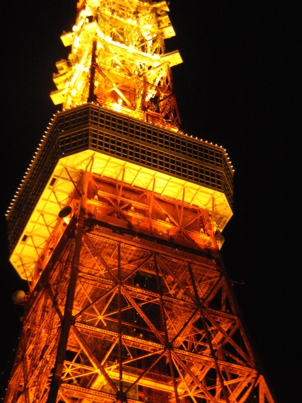 f:id:ornith:20141207191632j:plain