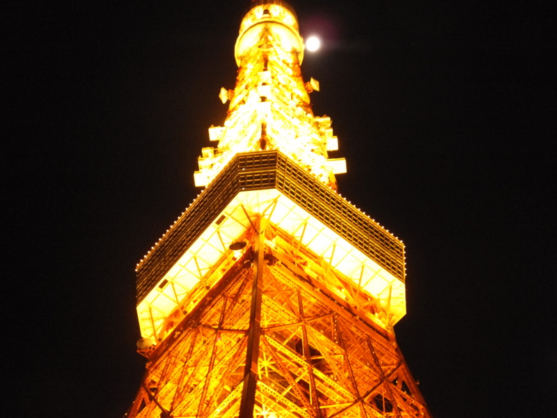 f:id:ornith:20141207191633j:plain