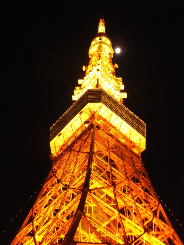 f:id:ornith:20141207191635j:plain