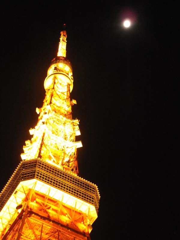 f:id:ornith:20141207191636j:plain