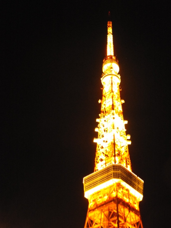 f:id:ornith:20141207191637j:plain