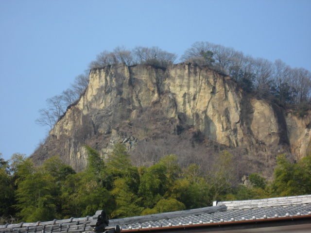 f:id:ornith:20150209220743j:plain