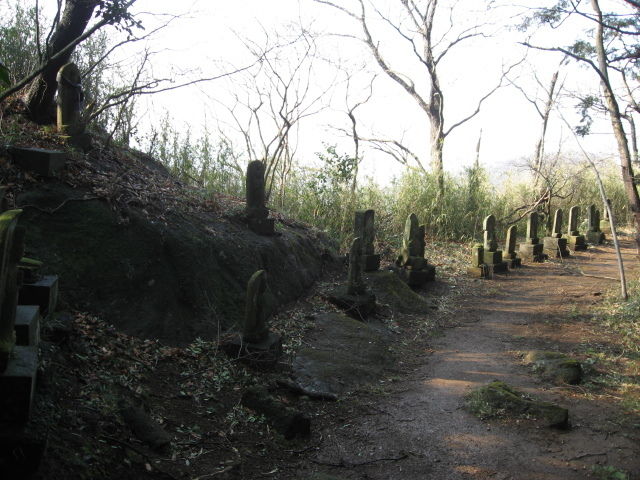 f:id:ornith:20150209220751j:plain