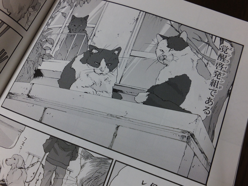 f:id:ornith:20150302233601j:plain f:id:ornith:20150302233601j:plain