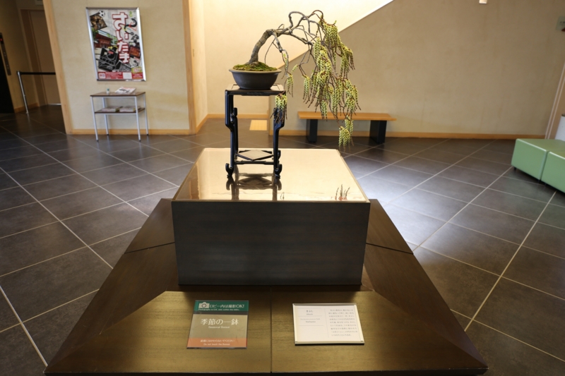 f:id:ornith:20150306114339j:plain