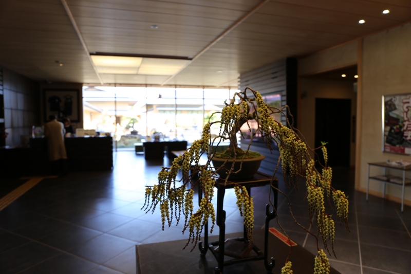 f:id:ornith:20150306114341j:plain