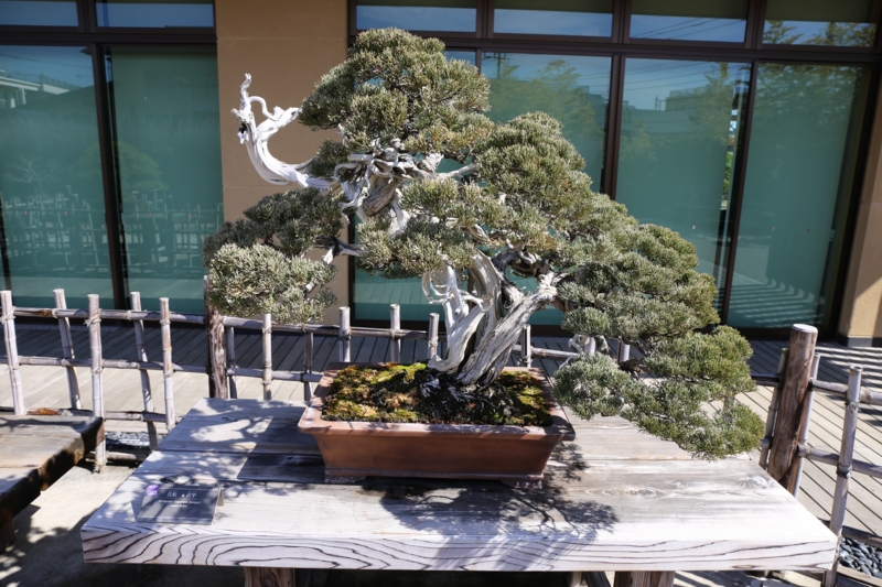 f:id:ornith:20150306114356j:plain