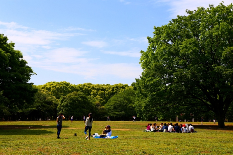 f:id:ornith:20150508142333j:plain