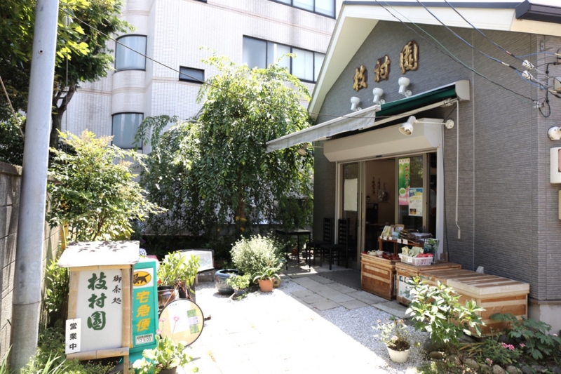 f:id:ornith:20150621153027j:plain