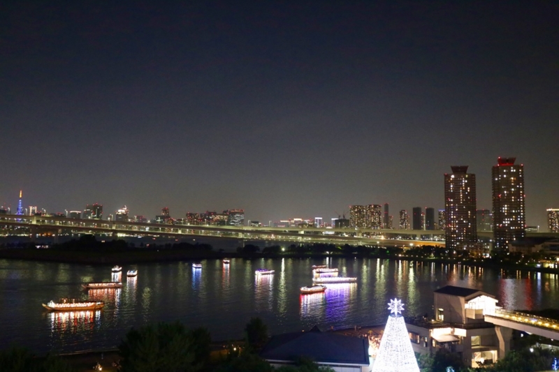 f:id:ornith:20150717222816j:plain